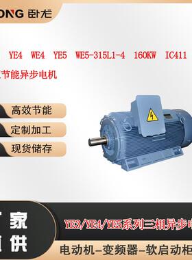 YE3WE3YE4WE4YE5WE5-315L1-4160WIC411IP55B3