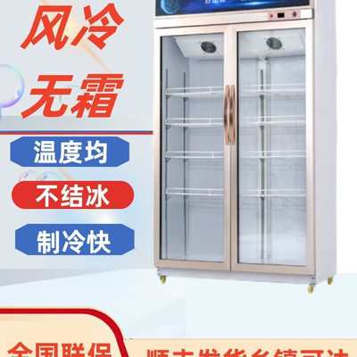 冷藏柜 展示柜 保鲜柜 立式双门铜管商用饮料冷饮蔬菜水果柜冰柜