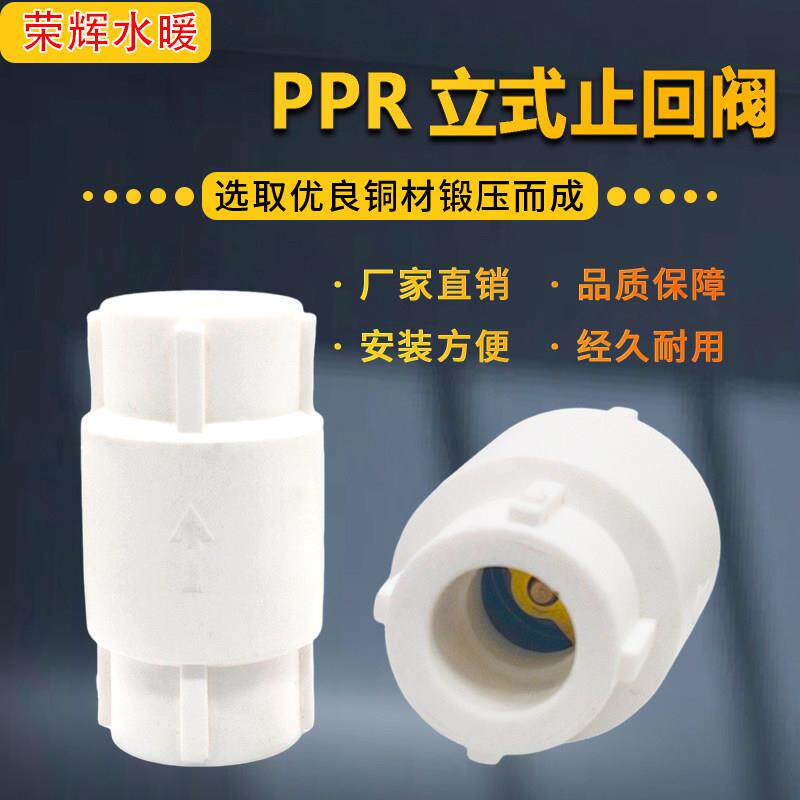 PPR立式止回阀单向阀4分6分20/25PP-R水管止逆阀弹簧铜芯立式止回