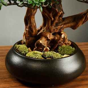 新式真物盆景罗汉松客厅玄关电视柜植装饰仿品家中居饰迎tb-61865