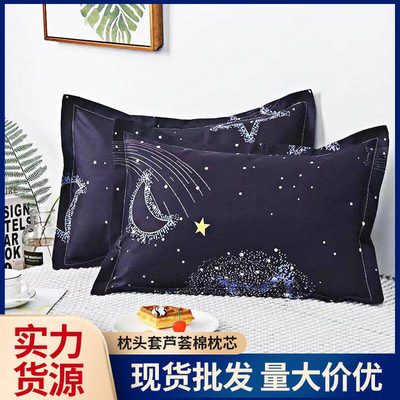 枕套枕头家用套装护颈不塌陷学生宿舍助睡眠成人芦荟棉枕芯人枕