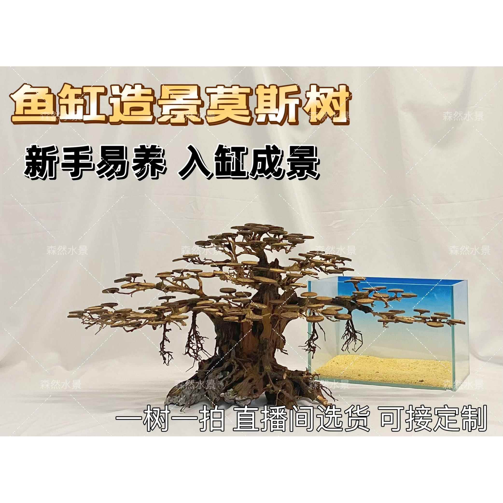 莫斯树迎客松造景鱼缸造景莫斯树成品骨架制作全尺寸订做一树一拍