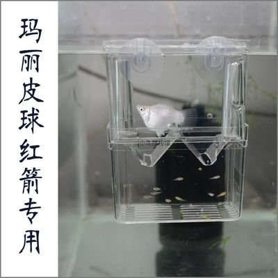 鱼繁殖盒 鱼缸箱 小鱼孵化盒母鱼产房幼鱼产卵器