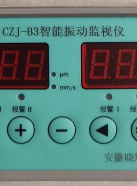 CZJ-B3智能振动监视仪旋转机械的振动烈度监测