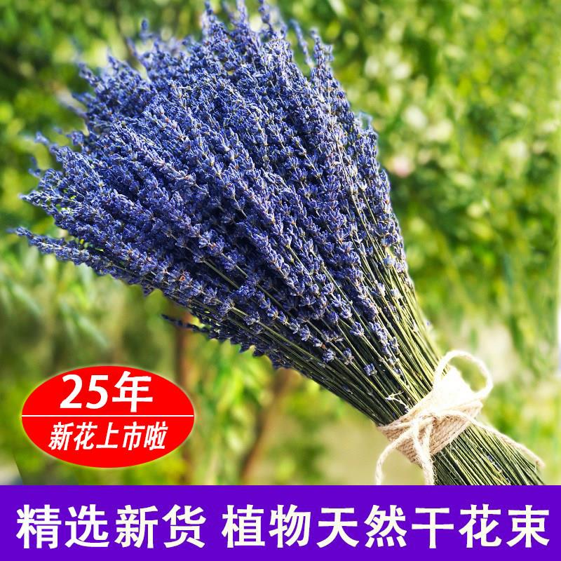 薰衣草干花束客厅家居装饰 天然风干花束真花香薰网红插花ins礼物