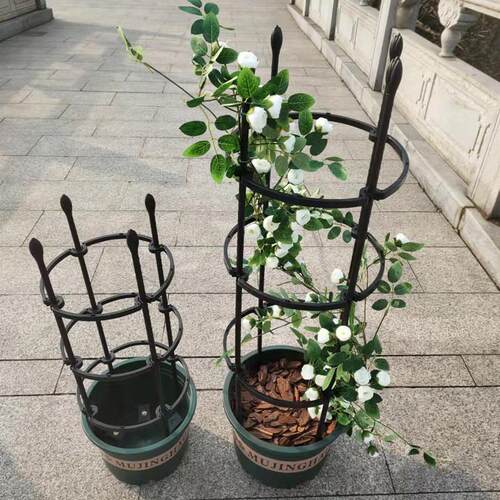 花架子爬藤架月季黄金葛铁线 线莲防倒支伸缩杆花卉植物攀爬架蟹