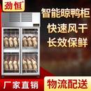 商用风干柜烤鸭晾鸭柜晾胚柜烧鸭烤鸡烧鹅风干机烘干除湿保鲜