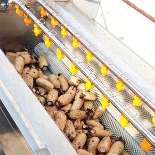 桔梗沙参玛卡三七清洗去泥毛辊清洗机 花生地环荠菜宝塔菜去泥机
