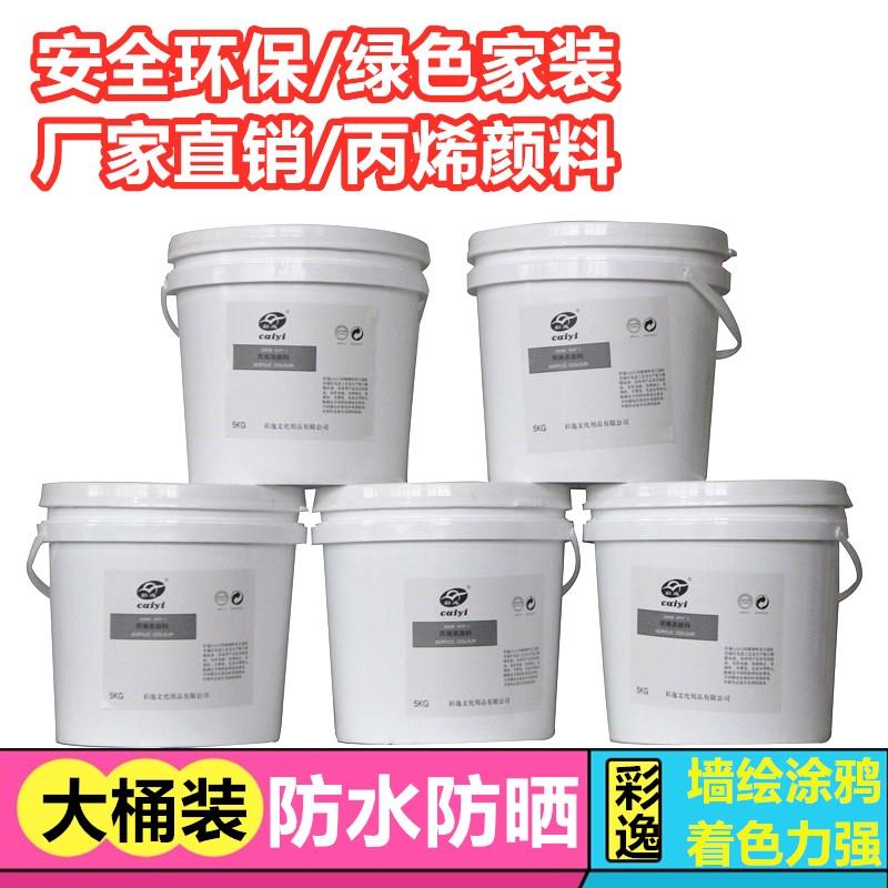 彩逸2公斤大桶丙烯颜料墙绘手绘外墙假山涂鸦彩绘防水不掉色彩绘