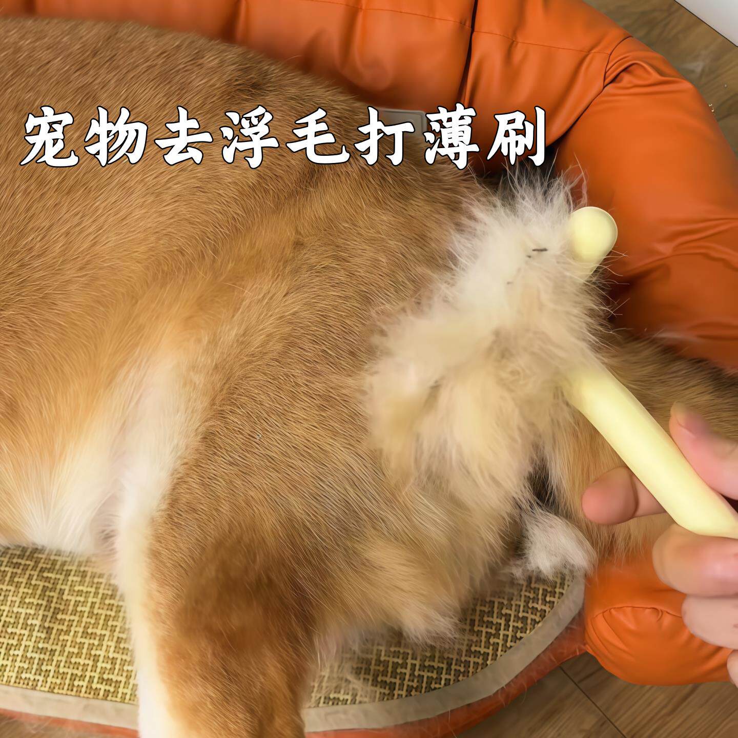 宠物去浮毛打薄刷猫狗梳子梳毛刷去毛刷宠物护理开结褪毛梳狗专用
