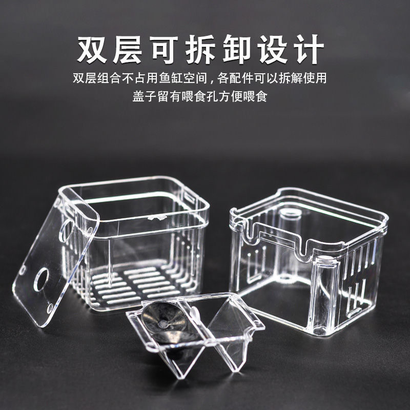 亚克力孔雀繁殖鱼缸隔离孵化器