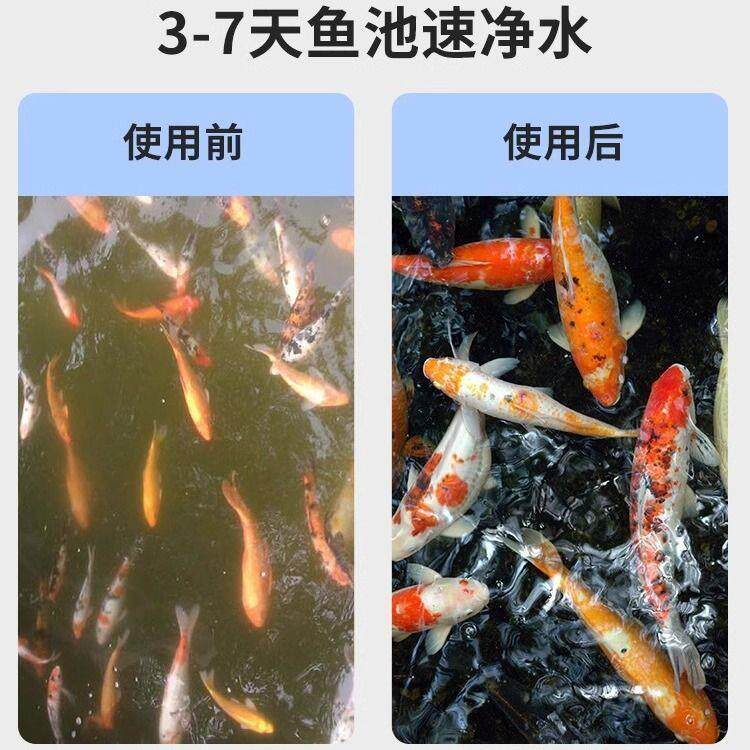 鱼池过滤器过滤系统循环系统大型锦鲤净水室外庭院水循环鱼塘外置