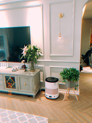 科沃斯沁宝AVA（前车之鉴）有必要告诉大家真相