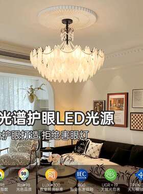 法式奶油风羽毛吊古客厅主灯20卧2RGH6新款现代轻灯奢水晶灯中室