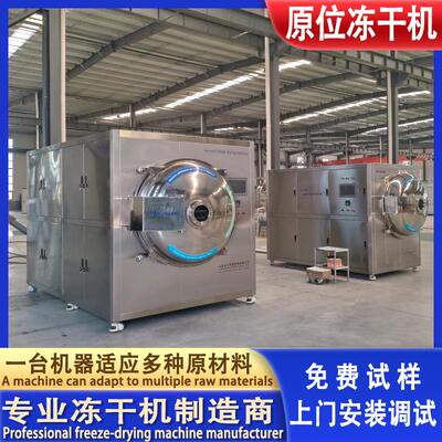 实验型糖果原位冻干机durian榴莲块即食营养粥低温冷冻干燥机