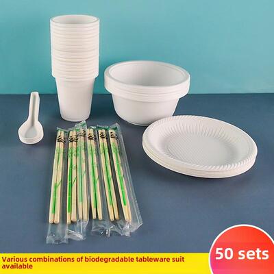 一次性餐具碗，筷子和盘子套装多件套家庭喜宴环保可降解塑料餐具