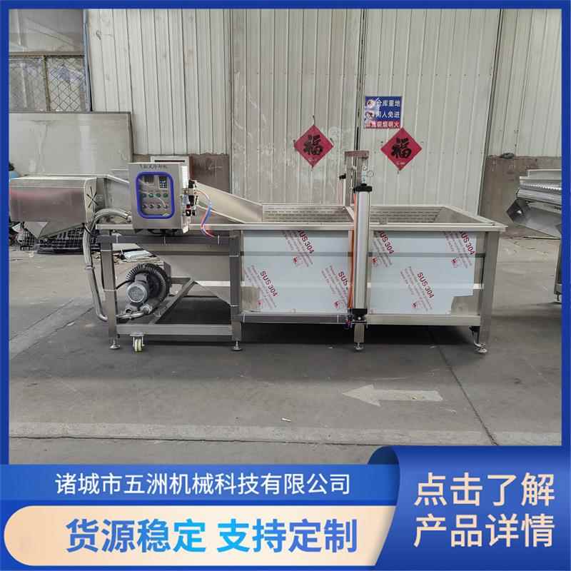 草莓芒果石榴车厘子水果气泡清洗设备中药材气泡清洗机喷淋清洗