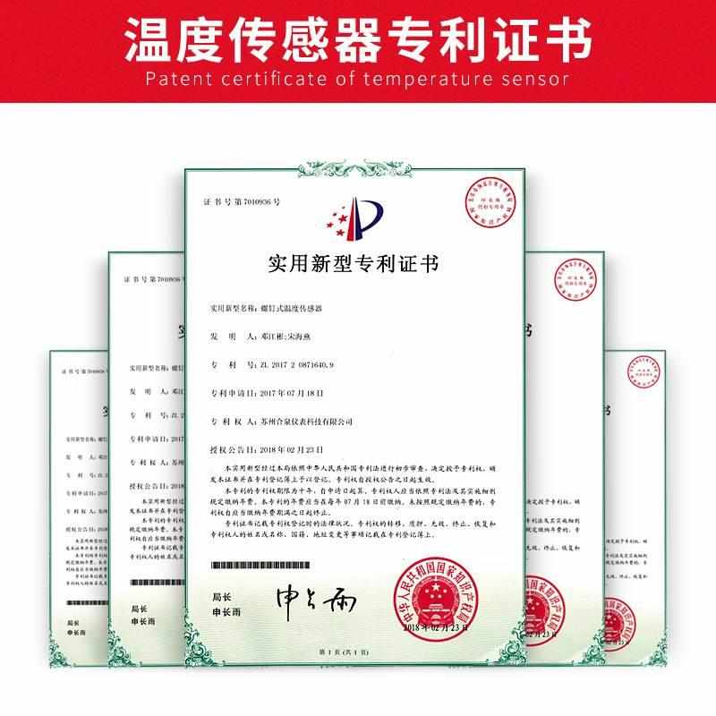 防酸防腐合压pt100热电槽温度传感器级防水泉a阻芯twidec双探头铂