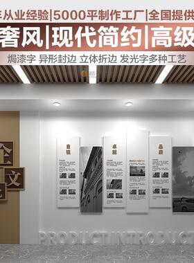 企业公司办公室员工团队标语激励文化墙设计装饰立体地图挂画定制