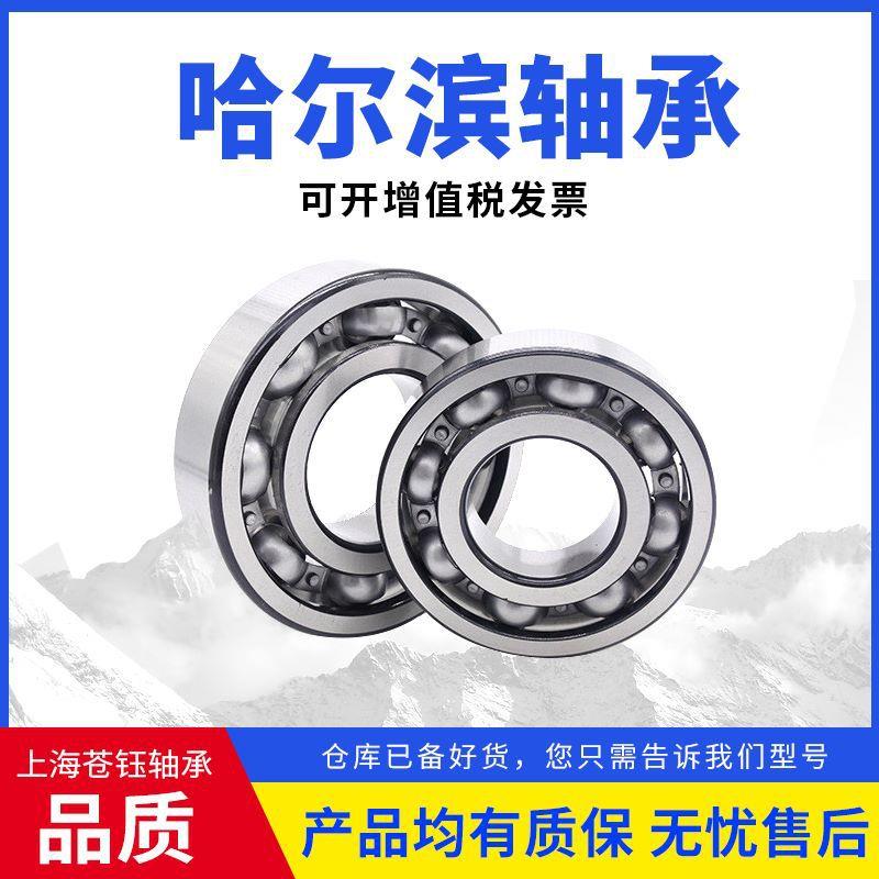 哈尔滨轴承6317 6318 6319 6320 6321 6322 6324高速电机风机轴承