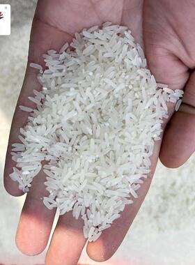 机UCQ小型家用震动碾米 家用稻大谷米打粉米碎一体全自动打米机