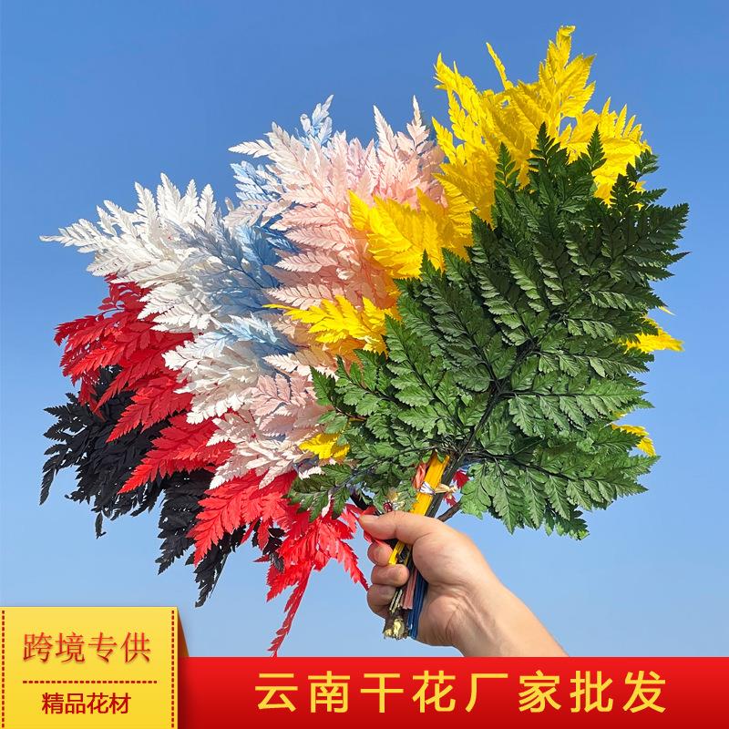 高山羊齿叶干花永生花厥叶天然香薰蜡烛DIY花材圣诞婚礼装饰配花