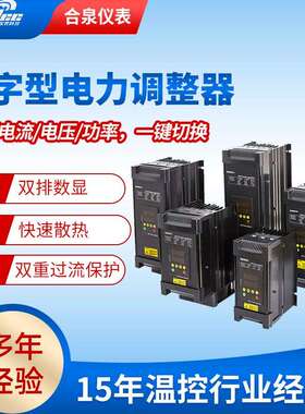 电力调整器 功率调整器 SCR 温度控制调制器 可控硅调制器 苏州