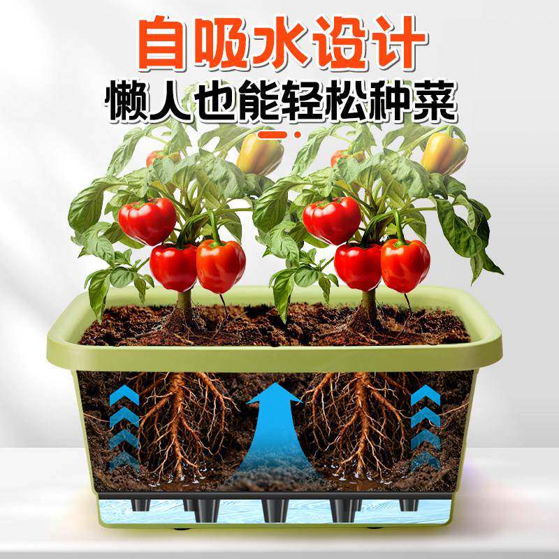 阳台种菜大专用盆箱养花箱花盆自吸水号庭院用种超大加深植户家外