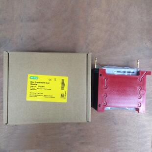 BIO 电泳转印芯 RAD伯乐小型转印槽迷你湿转印槽1703811湿式