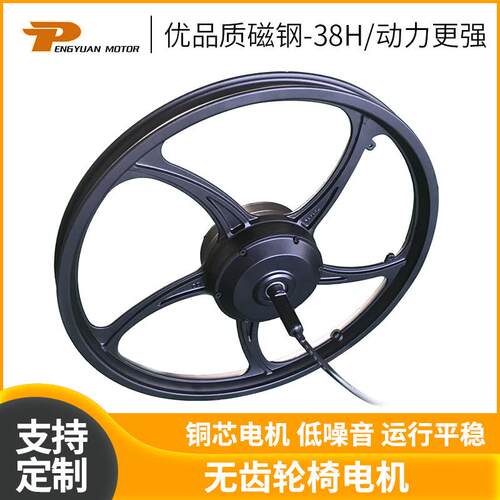 PY-04-01-20''有齿轮椅电机