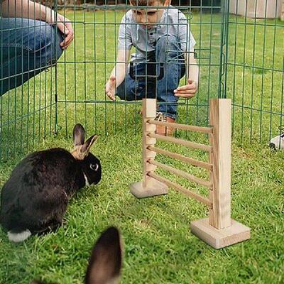 Rabbit Jump Bar Wood Jump Bar Obstacle Game For Rabbit Easy