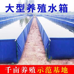 帆布鱼池锦鲤养鱼虾池篷布大型加厚刀刮布水池大棚高密度水蛭养殖