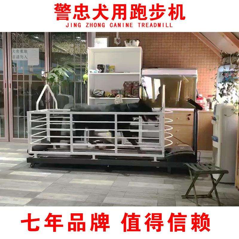 宠物跑步机 狗狗跑步机 犬电动跑步机 犬 大型犬电动跑步机