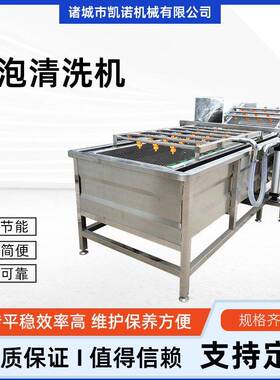 压气泡果蔬清洗机山土豆毛辊去皮清洗设备大姜清洗机