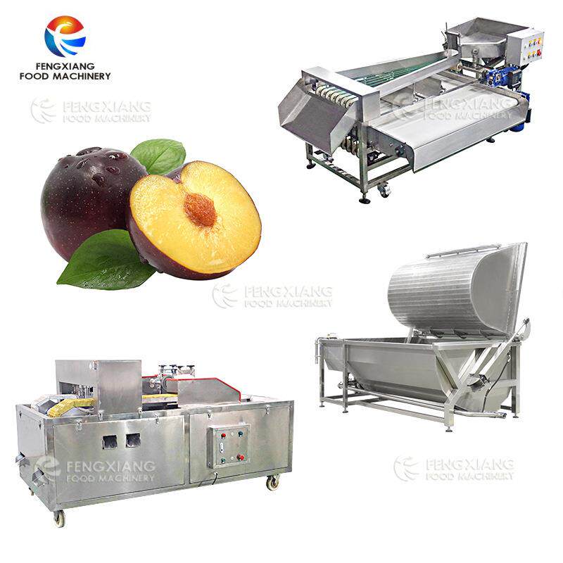 果蔬加工设备水果加工整套设备果蔬去核机清洗