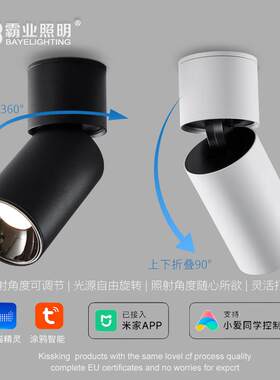 明装射灯涂鸦智能吸顶折叠旋转圆形外装防眩光可调角度家用背景墙