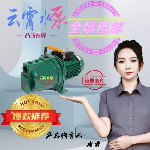 广东云霄牌井水家用增压自吸泵全自动喷射泵电动抽水机大头泵新款