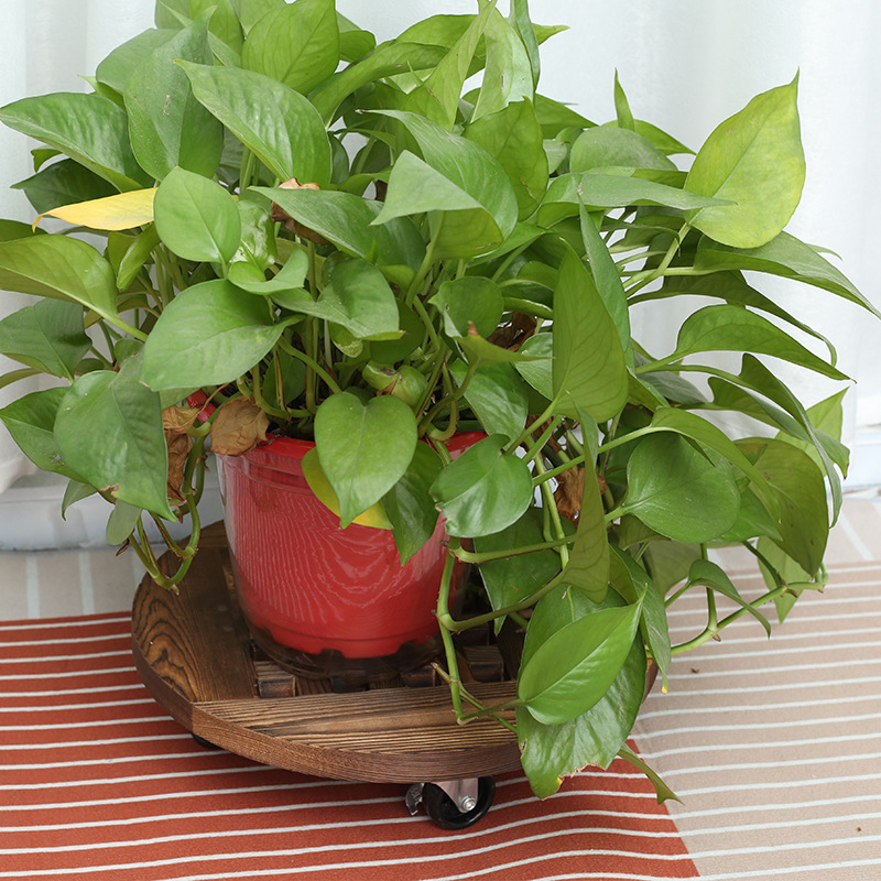 碳化木质木质加厚圆形装饰摆件