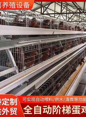 全自动阶梯式鸡笼四层五门肉鸡笼大规模养殖设备鸡场用蛋鸡笼定制