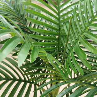 真散葵三杆大型造仿景盆栽家居147饰盆景装摆件人造假树仿真葵尾