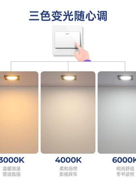 l智ed筒灯天花灯嵌入式双头斗VTY胆厅主灯护无眼过道能客gx53