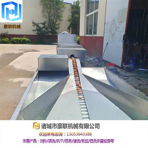 全自动洗蛋机机械源头生产支持试机产量每小时3000到20000枚
