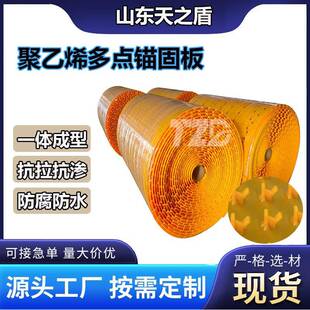 HDPE高密度聚乙烯防腐衬板2mm厚锚固板污水处理池用防水防腐衬片