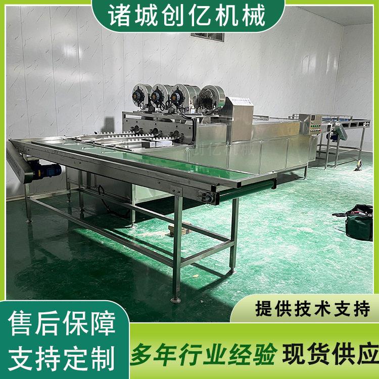 三排洗蛋机 水洗鸡蛋机器 自动上蛋洗蛋机厂家 裹泥蛋清洗机