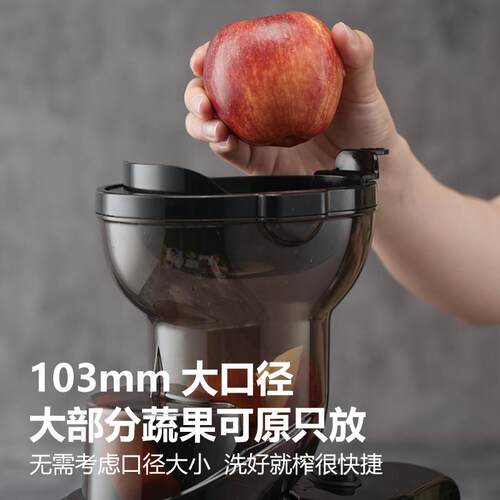 西锈款兰普榨汁机渣汁分家用全自动2024新炸水果WJE-F9C不钢商用