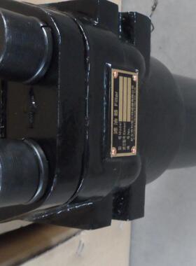 黎明液压PLFA系列压力管路过滤器PLF.BH-E240*10FP海特滤器