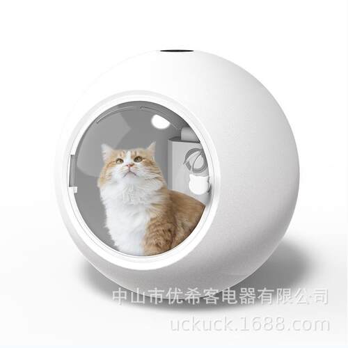 智能恒温宠物烘干箱猫咪狗狗家用洗澡烘干机宠物吹毛吹水烘干