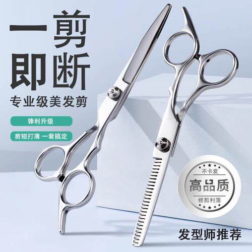 Single Hairdressing Scissors Set Including Texturizing Shear