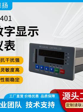 通用型智能工控系统测力仪表压力测试仪称重力值数字显示仪