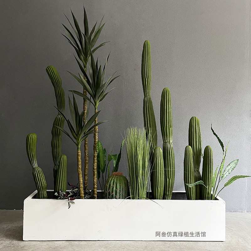 仙人掌造景假植物装饰仙人球仙人柱布置室内绿植商场橱窗摆件